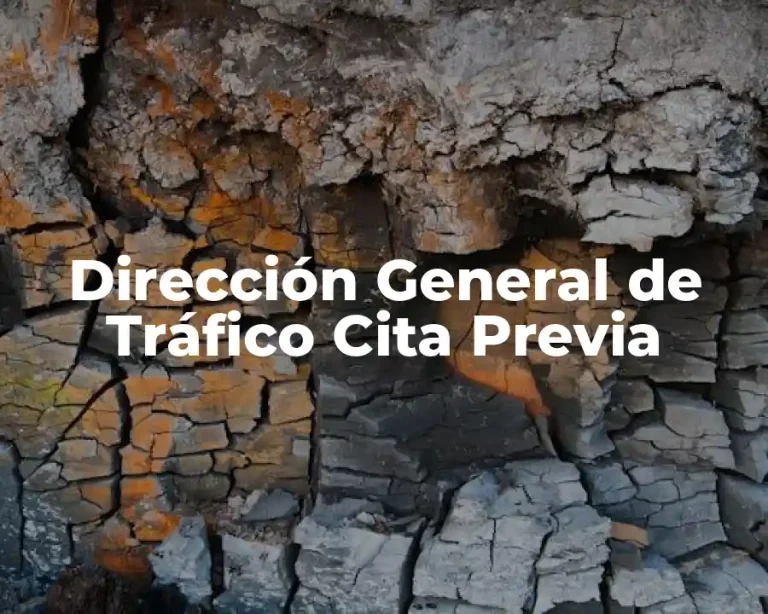 Dirección General de Tráfico Cita Previa