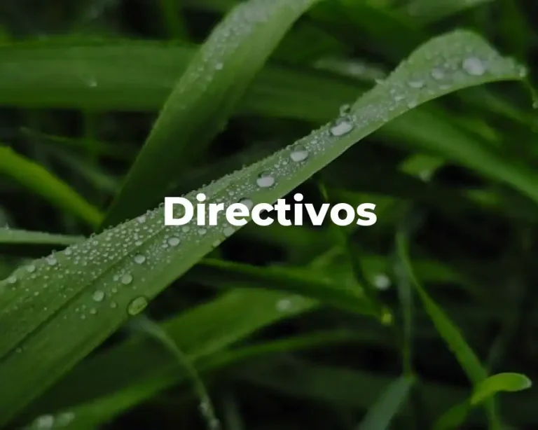 Directivos