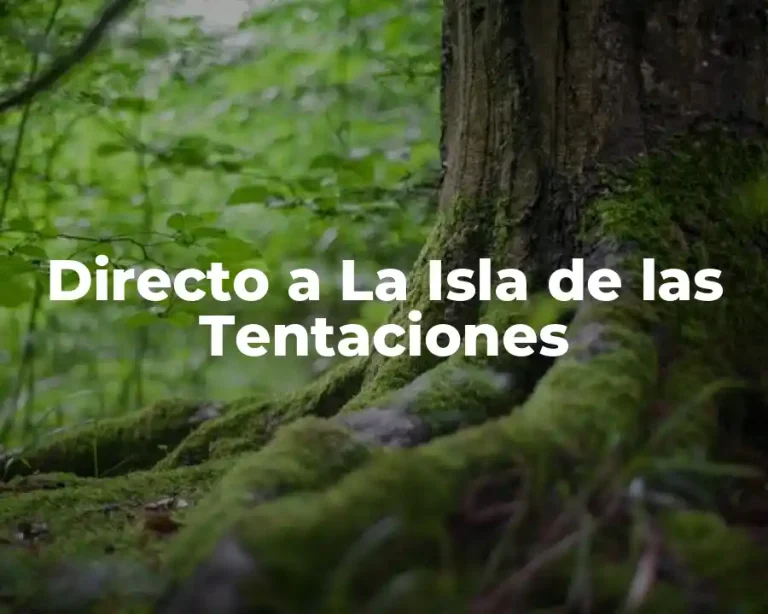 Directo a La Isla de las Tentaciones