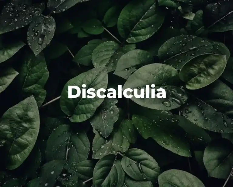 Discalculia