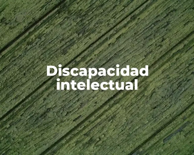 Discapacidad intelectual