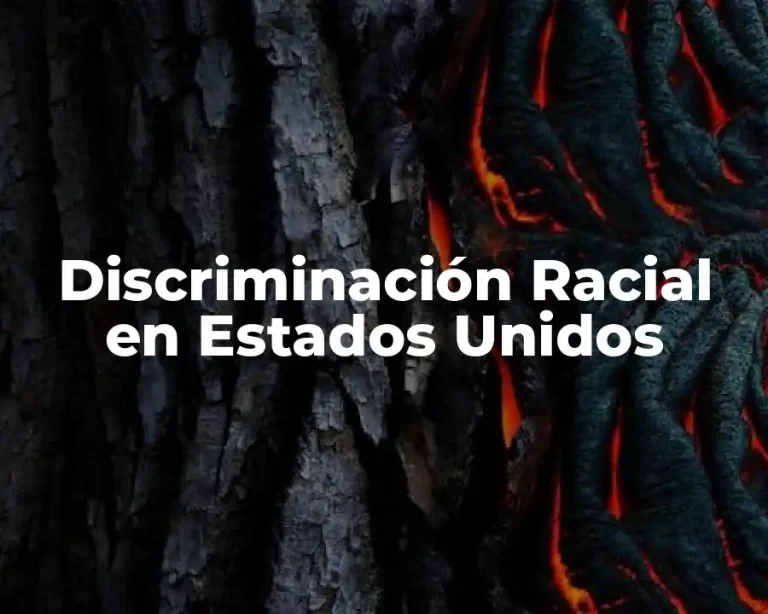 Discriminación Racial en Estados Unidos
