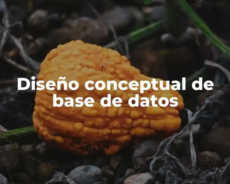 Diseño conceptual de base de datos