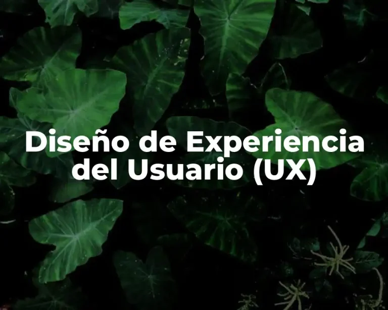 Diseño de Experiencia del Usuario (UX)