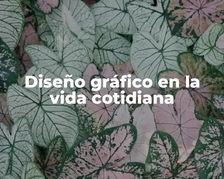 Diseño gráfico en la vida cotidiana