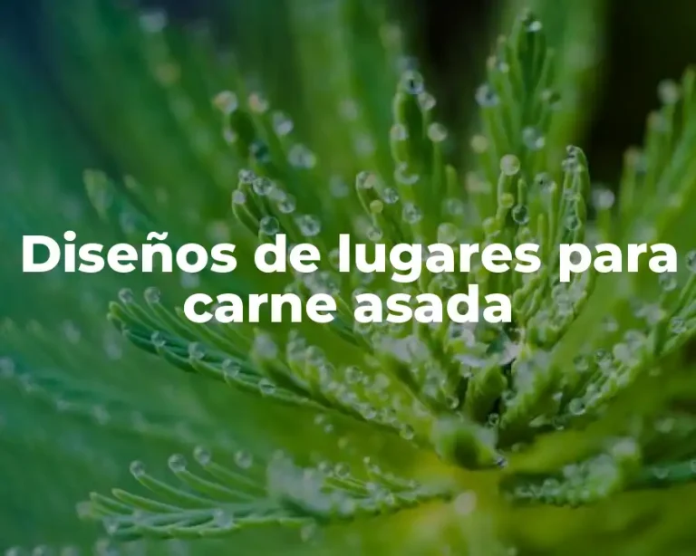 Diseños de lugares para carne asada