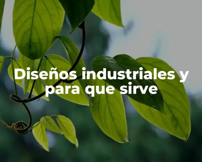 Diseños industriales y para que sirve