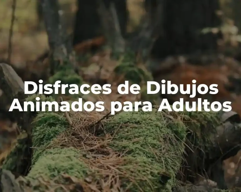 Disfraces de Dibujos Animados para Adultos