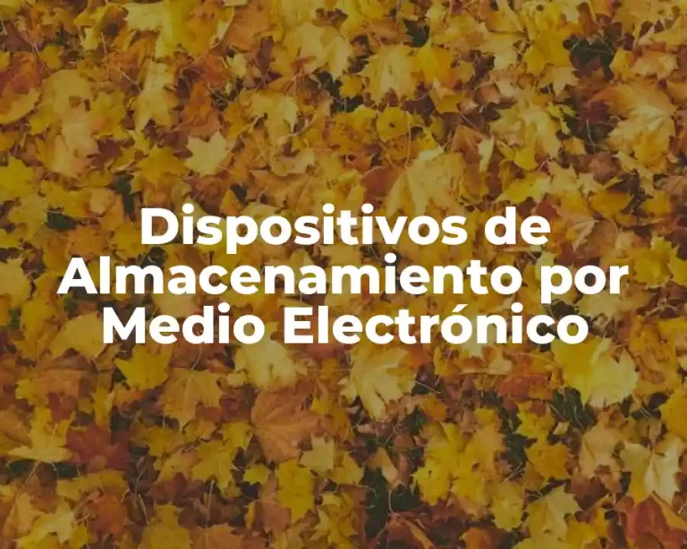Dispositivos de Almacenamiento por Medio Electrónico