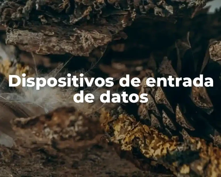 Dispositivos de entrada de datos