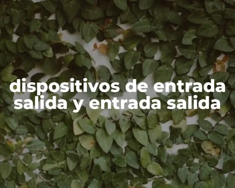 dispositivos de entrada salida y entrada salida