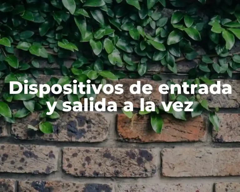 Dispositivos de entrada y salida a la vez