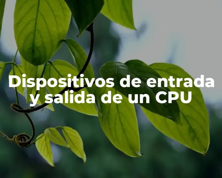 Dispositivos de entrada y salida de un CPU