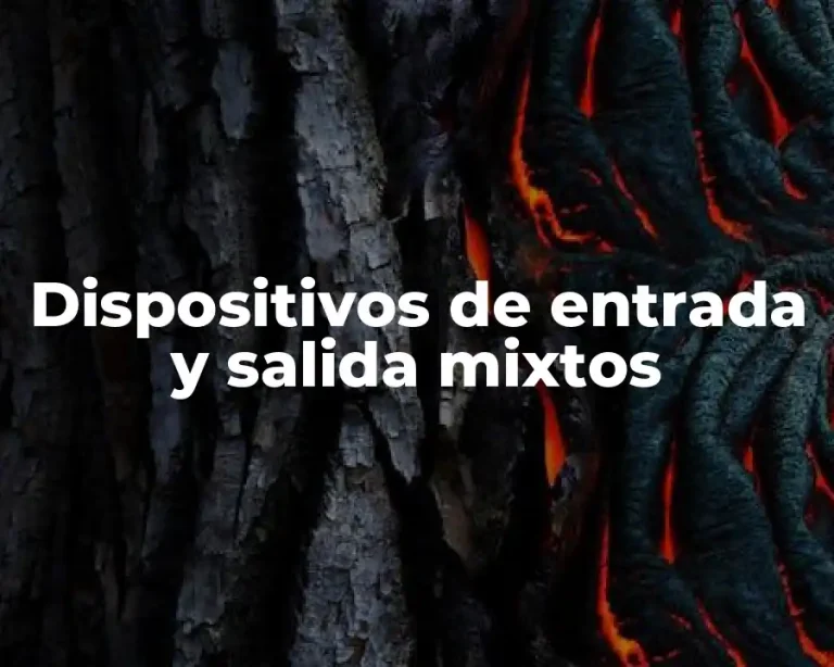 Dispositivos de entrada y salida mixtos