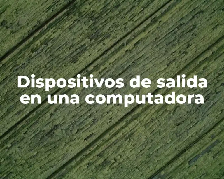 Dispositivos de salida en una computadora