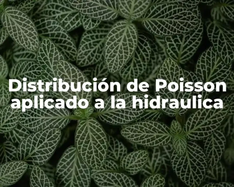 Distribución de Poisson aplicado a la hidraulica