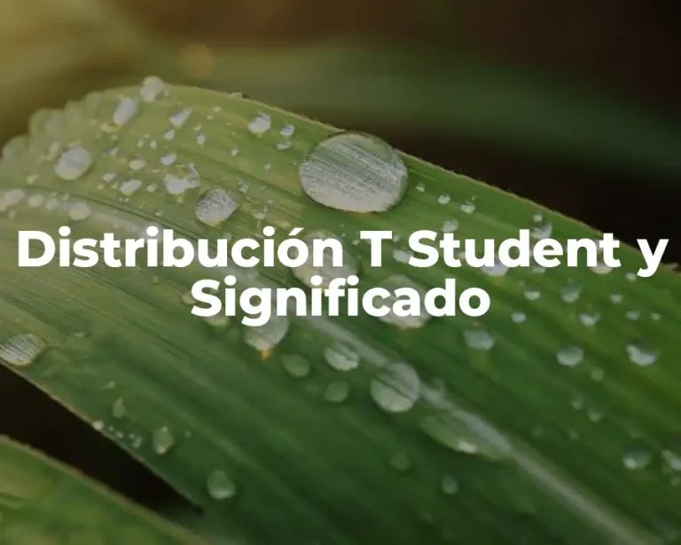 Distribución T Student y Significado