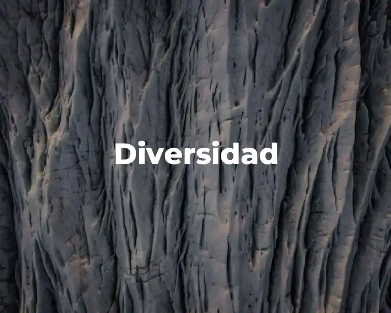 Diversidad
