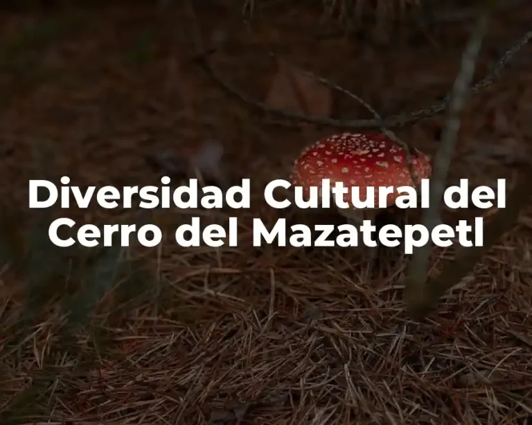 Diversidad Cultural del Cerro del Mazatepetl
