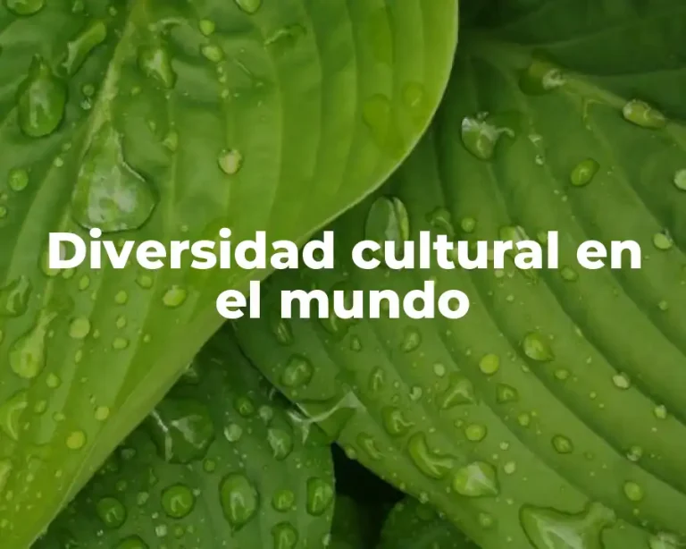 Diversidad cultural en el mundo
