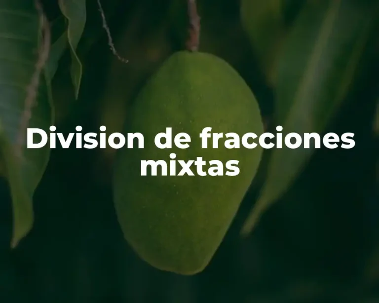 Division de fracciones mixtas