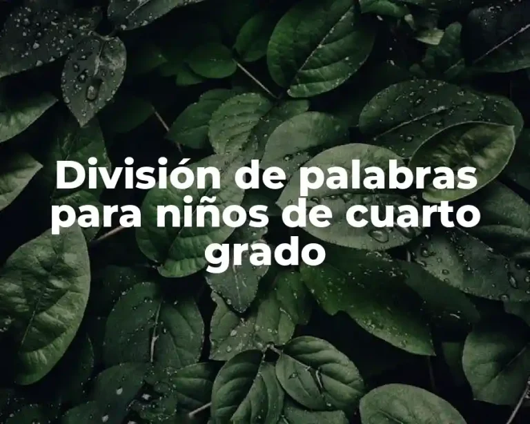 División de palabras para niños de cuarto grado