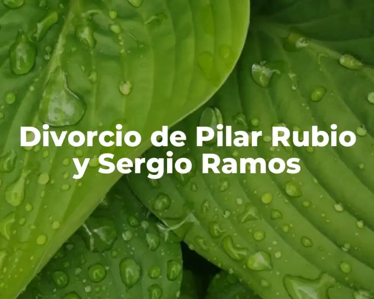 Divorcio de Pilar Rubio y Sergio Ramos
