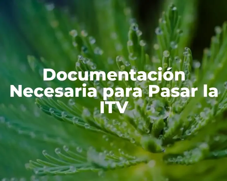 Documentación Necesaria para Pasar la ITV