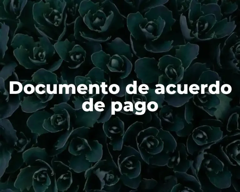 Documento de acuerdo de pago