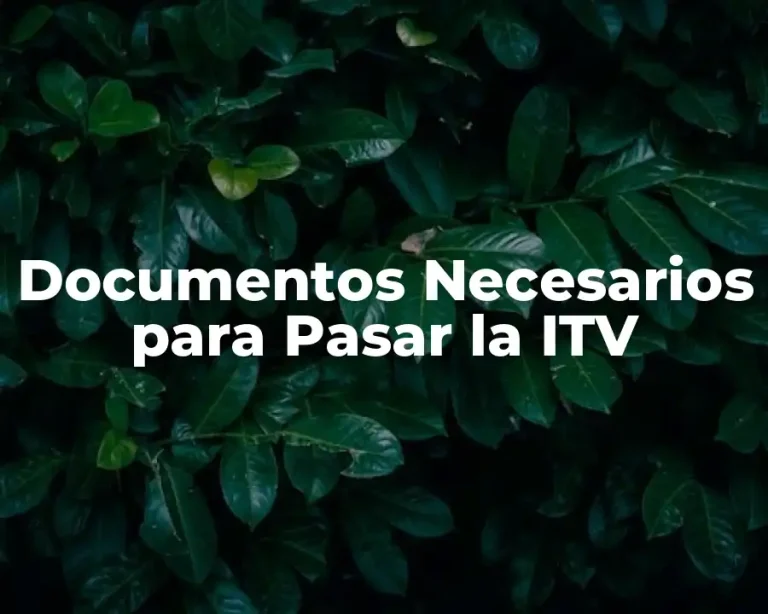 Documentos Necesarios para Pasar la ITV