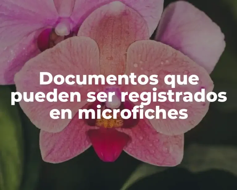 Documentos que pueden ser registrados en microfiches