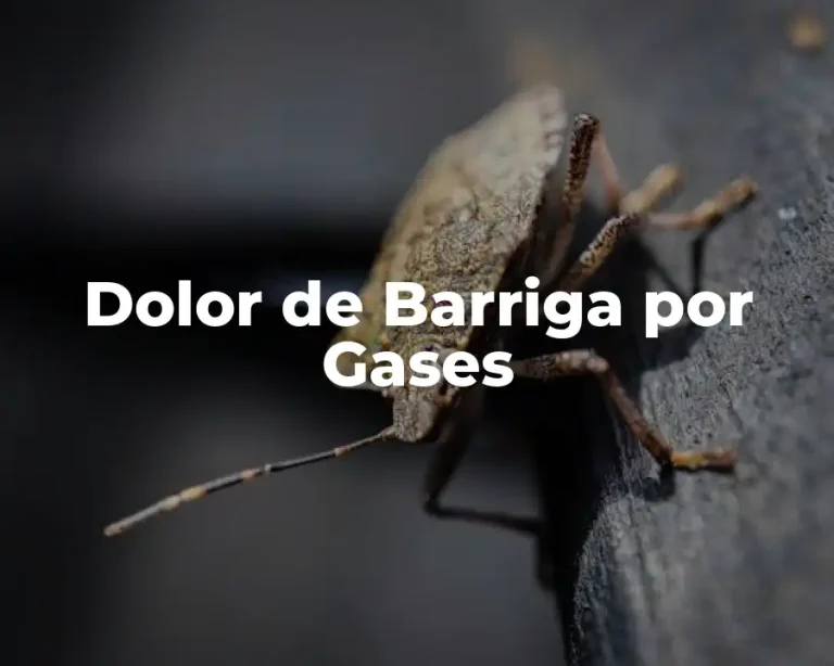 Dolor de Barriga por Gases