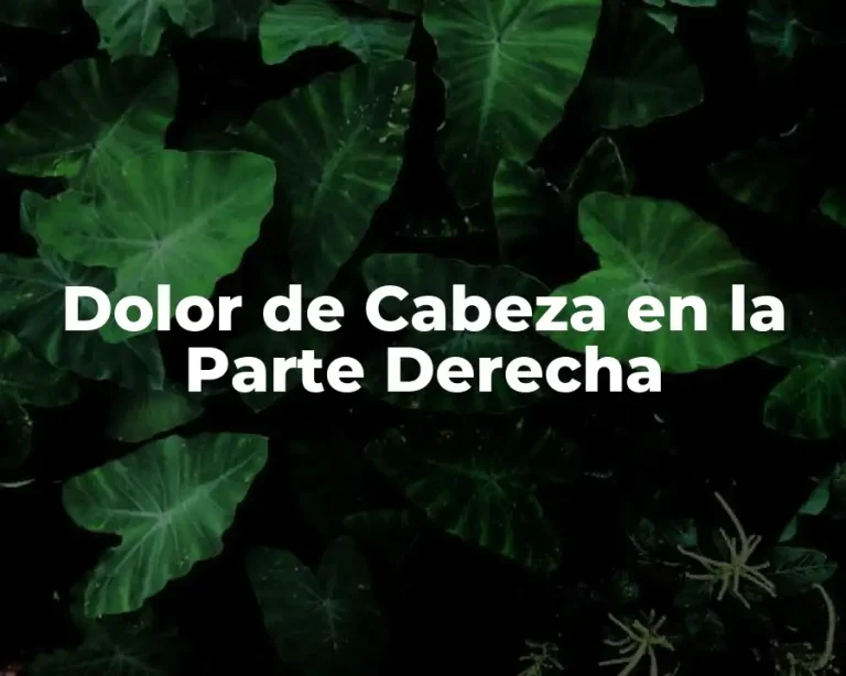 Dolor de Cabeza en la Parte Derecha