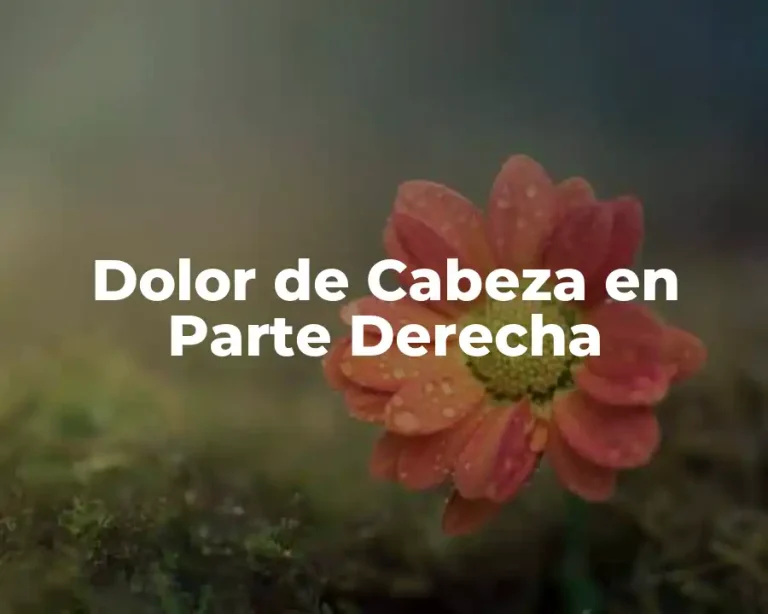 Dolor de Cabeza en Parte Derecha