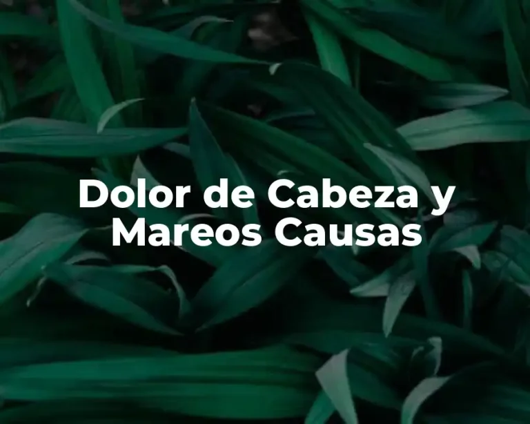 Dolor de Cabeza y Mareos Causas