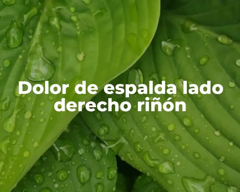 Dolor de espalda lado derecho riñón