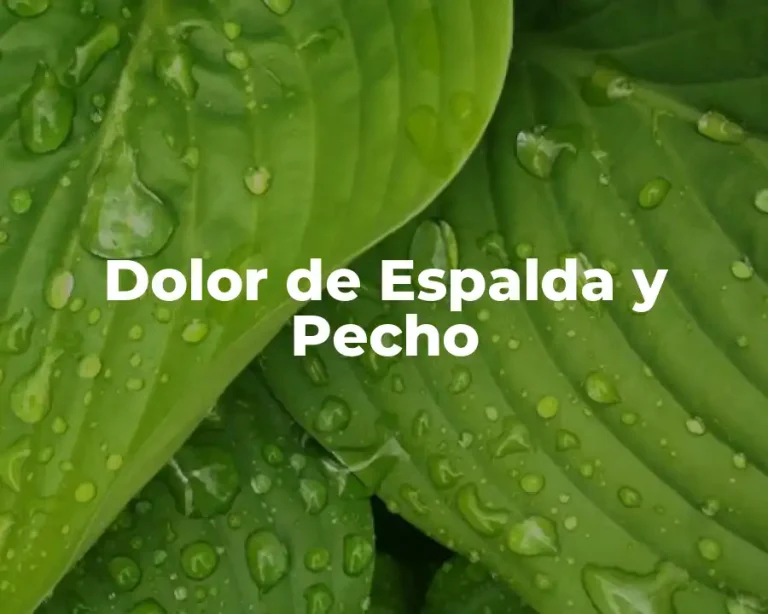 Dolor de Espalda y Pecho