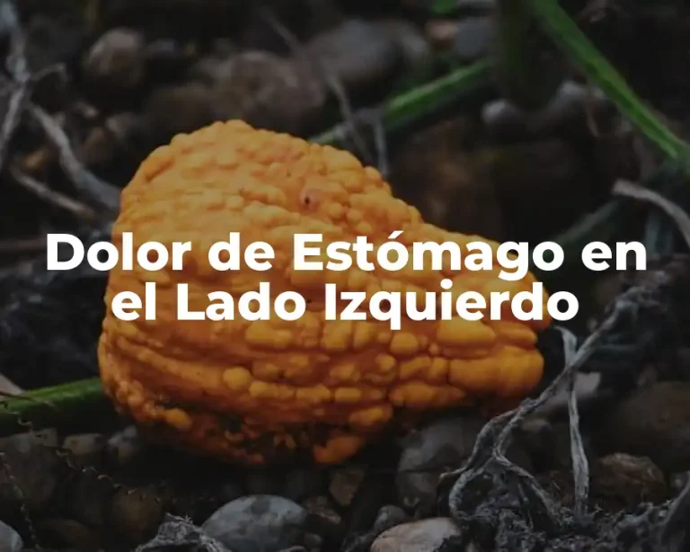 Dolor de Estómago en el Lado Izquierdo