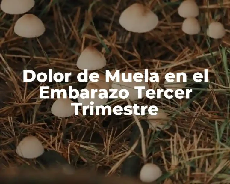 Dolor de Muela en el Embarazo Tercer Trimestre
