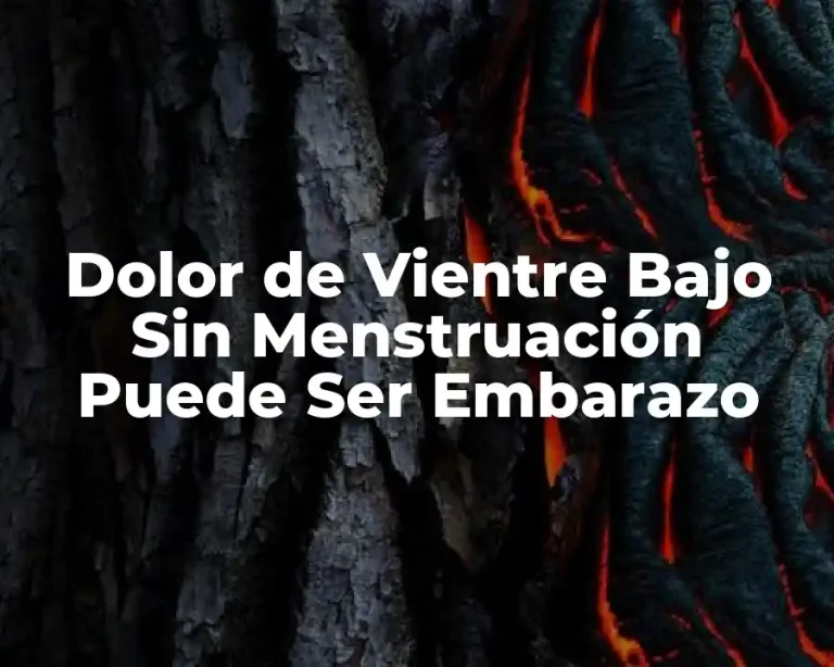 Dolor de Vientre Bajo Sin Menstruación Puede Ser Embarazo