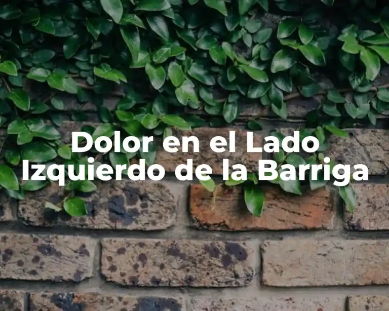 Dolor en el Lado Izquierdo de la Barriga