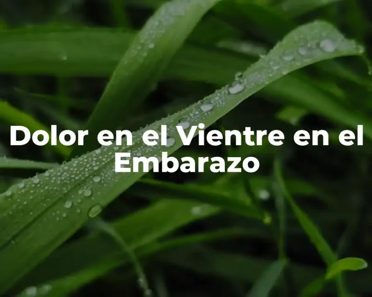 Dolor en el Vientre en el Embarazo