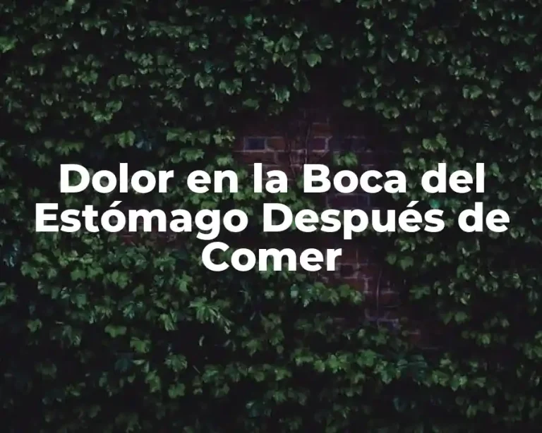 Dolor en la Boca del Estómago Después de Comer