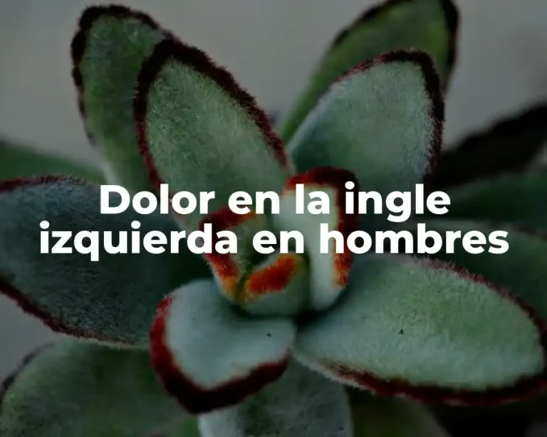 Dolor en la ingle izquierda en hombres