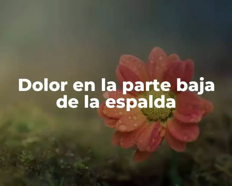 Dolor en la parte baja de la espalda