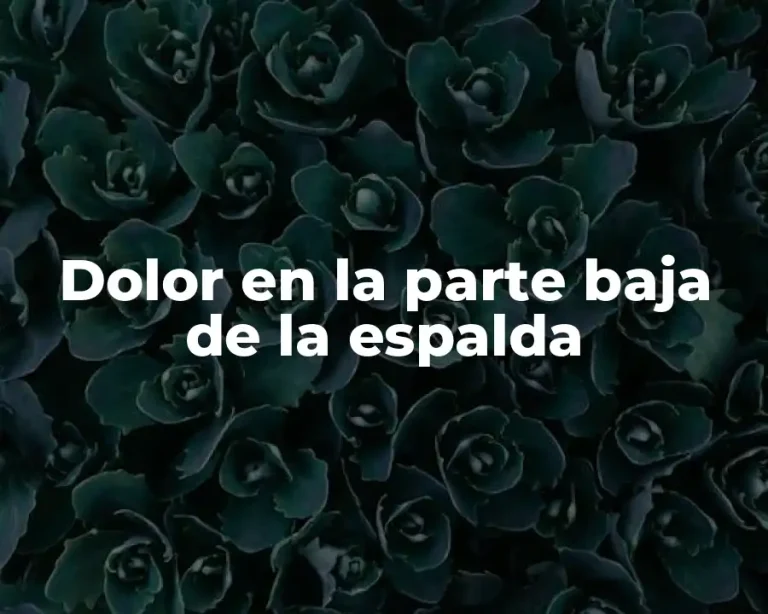 Dolor en la parte baja de la espalda