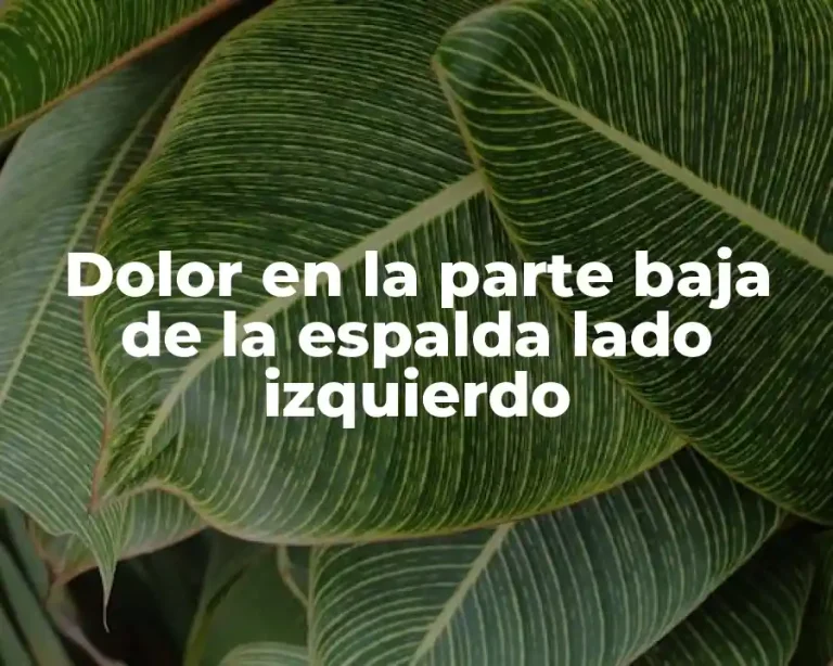 Dolor en la parte baja de la espalda lado izquierdo