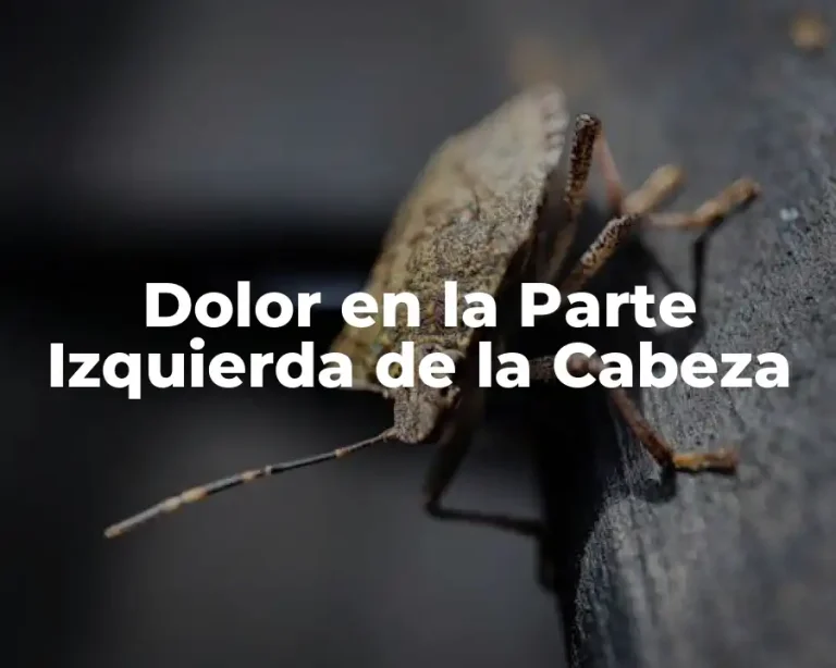 Dolor en la Parte Izquierda de la Cabeza