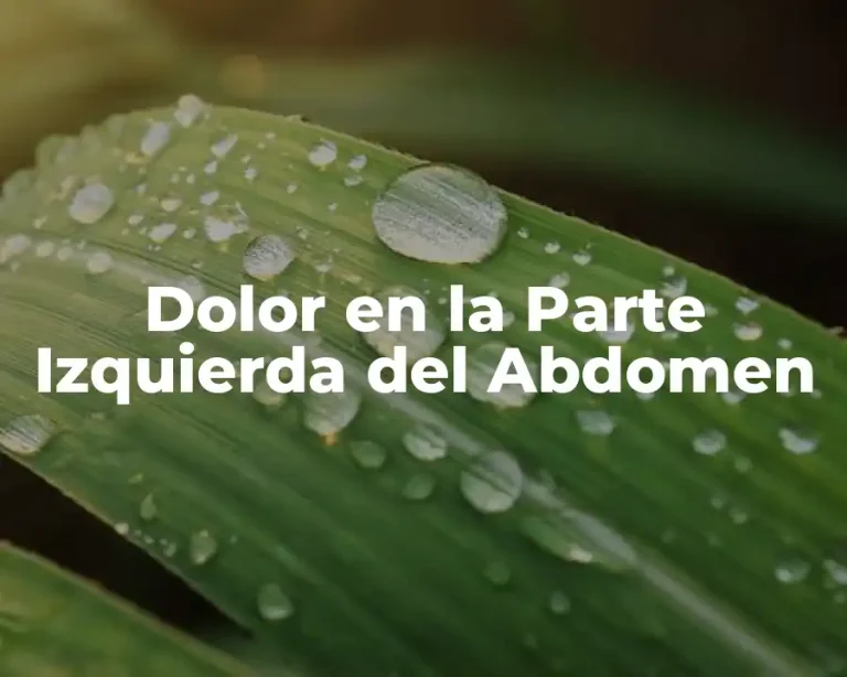 Dolor en la Parte Izquierda del Abdomen