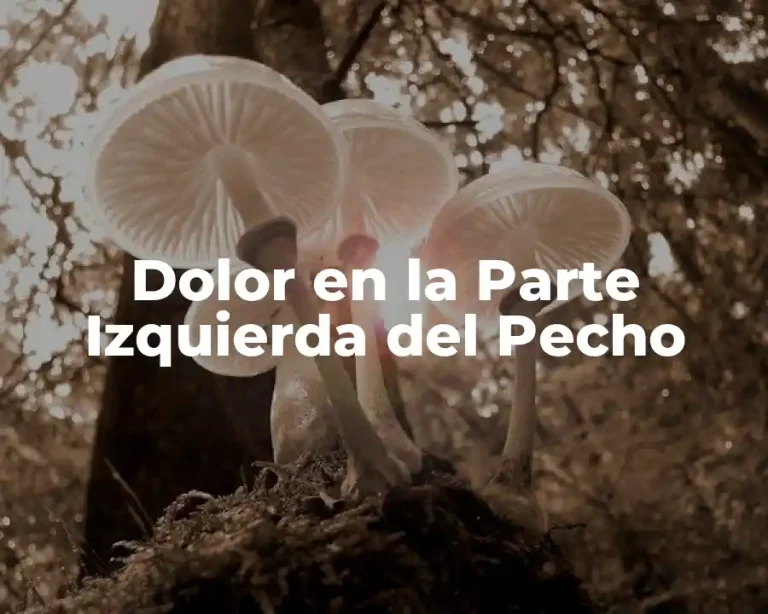 Dolor en la Parte Izquierda del Pecho